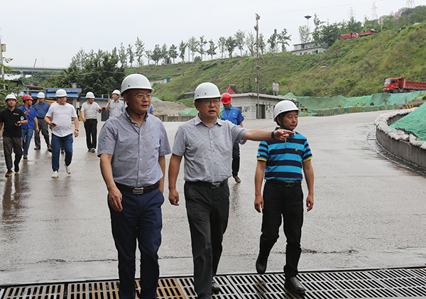 5d1099d146a7b.jpg 1.jpg