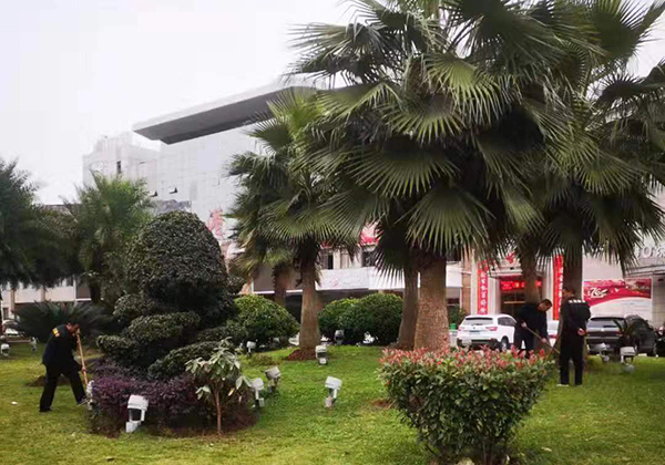 5ddfcf9ceb87c.jpg 微信圖片_20191128213857.jpg