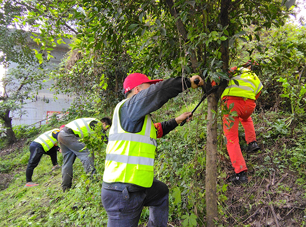 604d7264b9e71.jpg 2.jpg