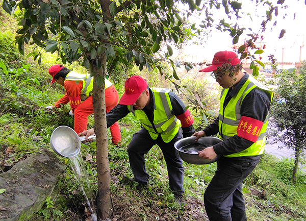 604d726dba733.jpg 3.jpg