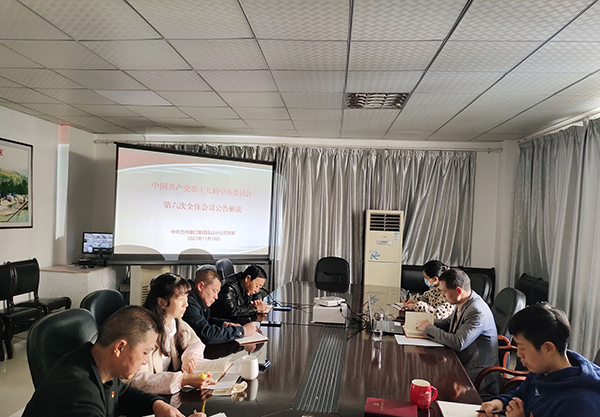 6197613701ab1.jpg 11.19巫山分公司組織全體黨員學(xué)習(xí)貫徹黨的十九屆六中全會精神.jpg