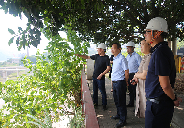 64e86a000929b.jpg 1.jpg